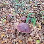 度假居 Na Vasi