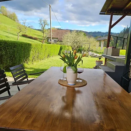 Na Vasi Holiday home Gorenja Vas (Gorenja Vas-Poljane)