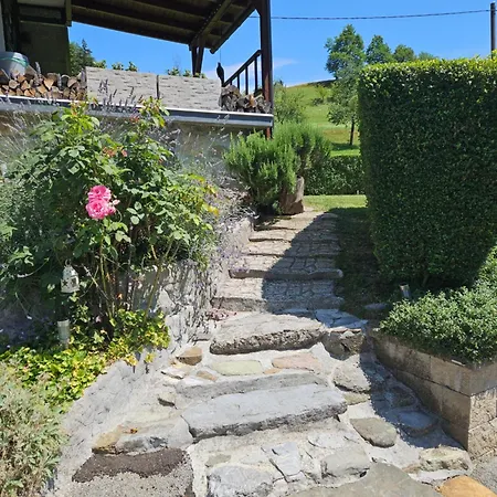 Holiday home Na Vasi