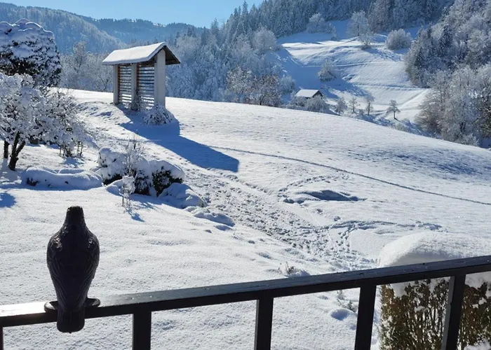 Na Vasi * Gorenja Vas (Gorenja Vas-Poljane)