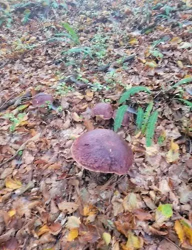 Casa vacanze Na Vasi